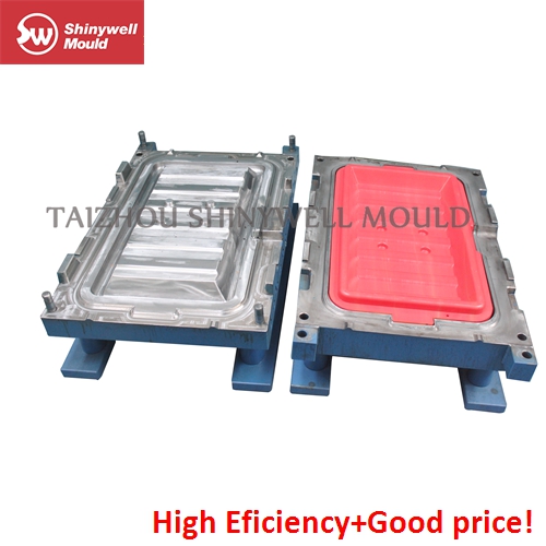 Blow Mould