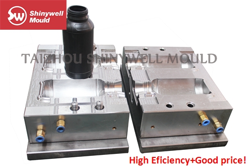 Blow Mould