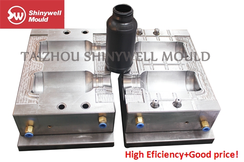 Blow Mould