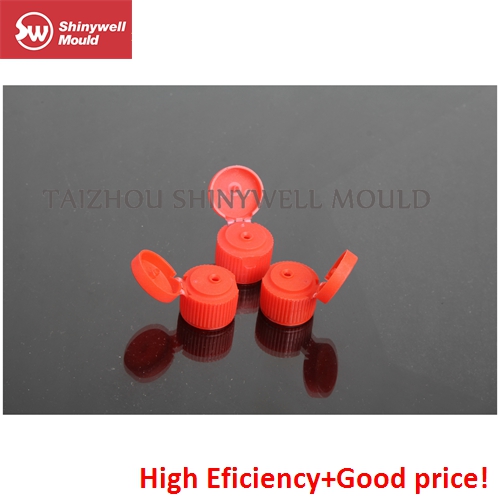 Cap Mould