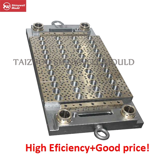PET Preform Mould