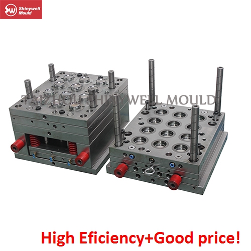 Cap Mould