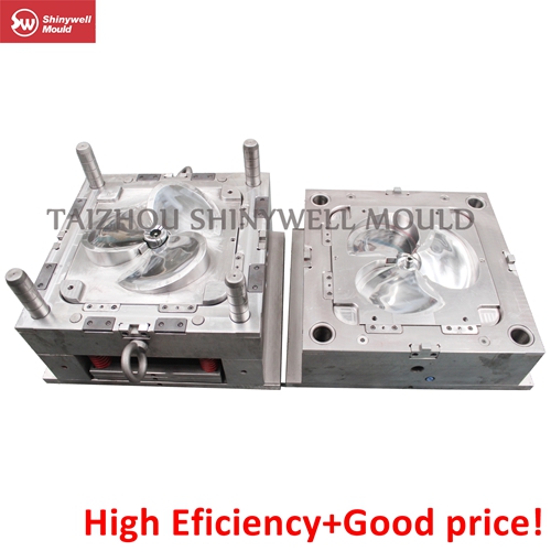 Home Appliance Mould