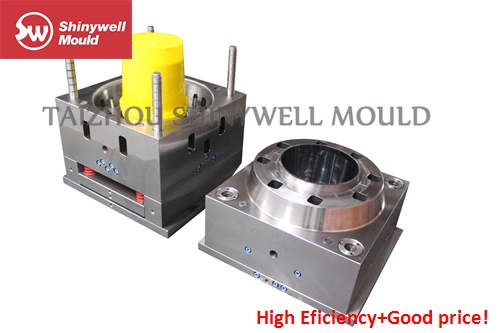 Paint Bucket Mould