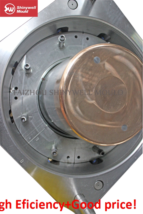 Paint Bucket Mould