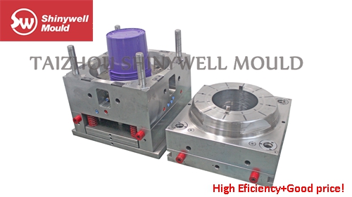 Paint Bucket Mould