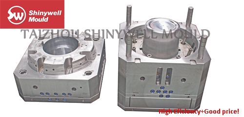 Paint Bucket Mould