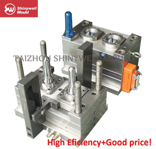 PET Preform Mould