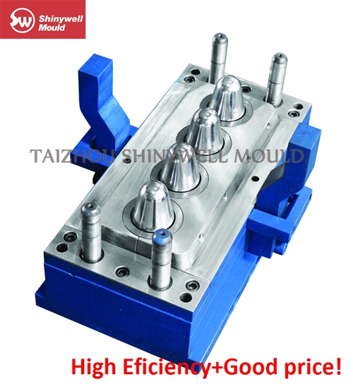 PET Preform Mould